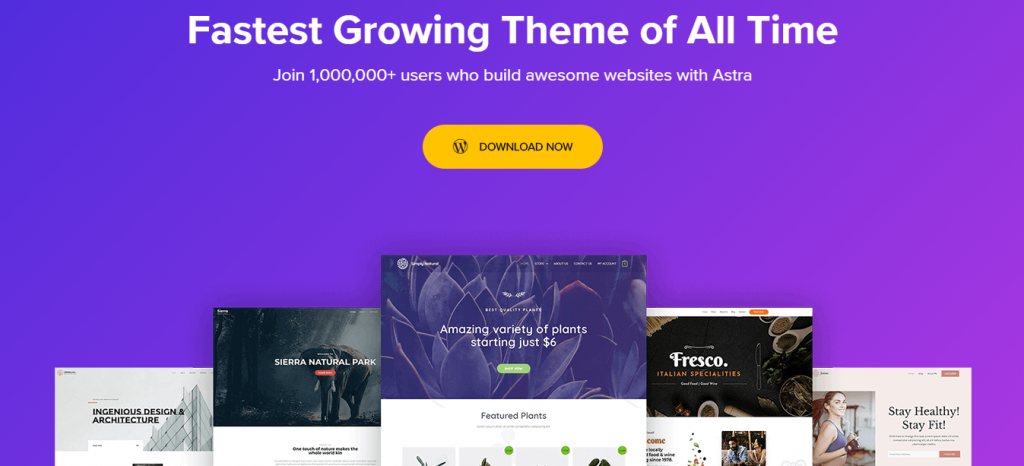 Astra free WooCommerce Themes